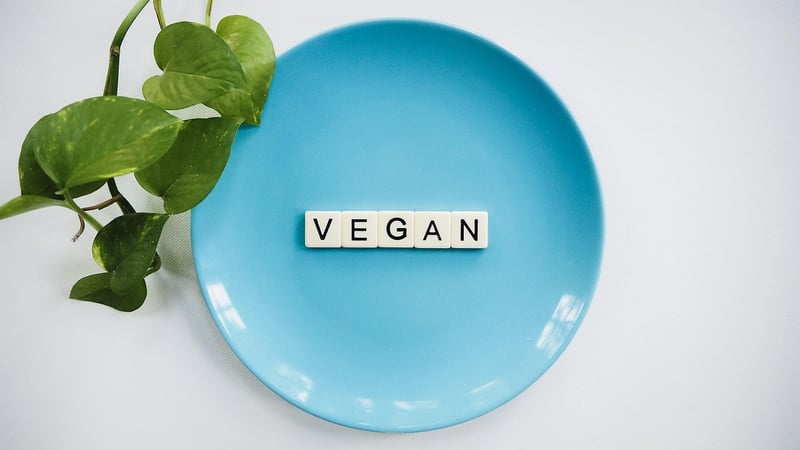 Plant-Based Wonders