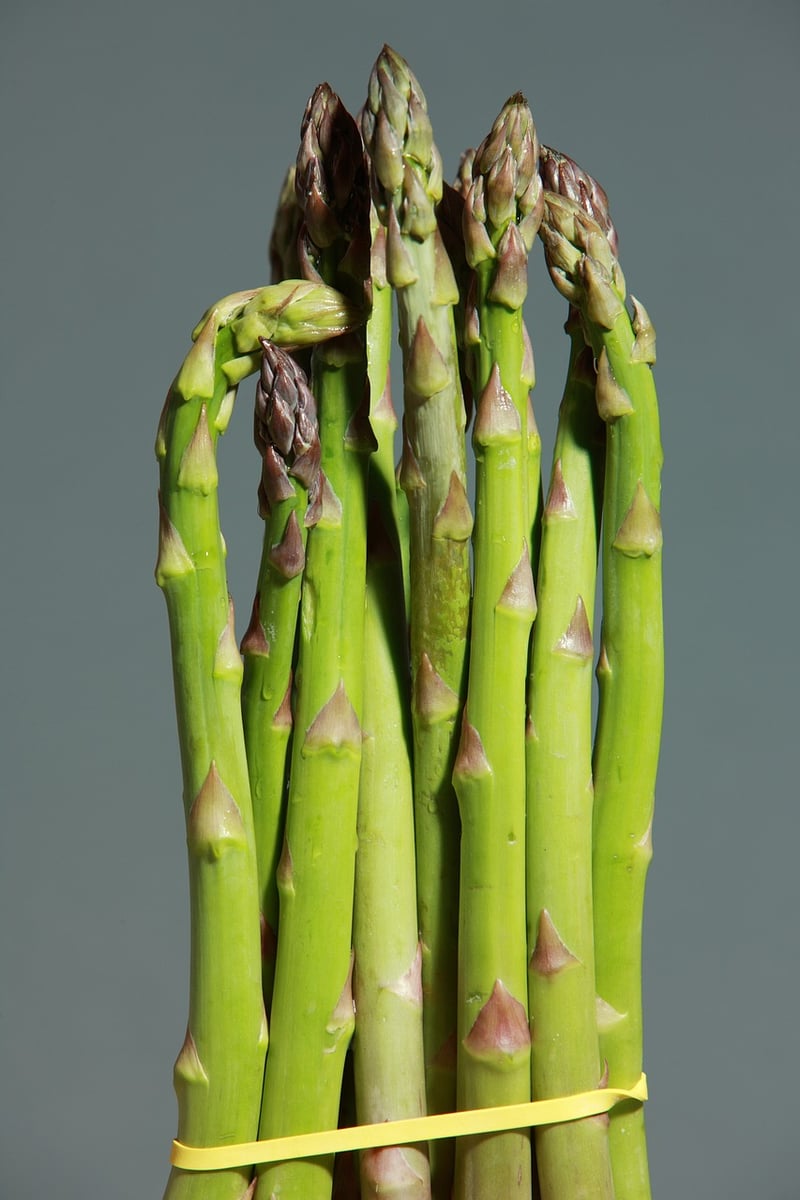 Asparagus Plate Presentation
